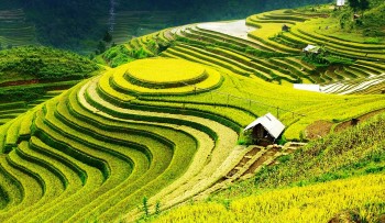 ve dep ruong bac thang sa pa lao cai