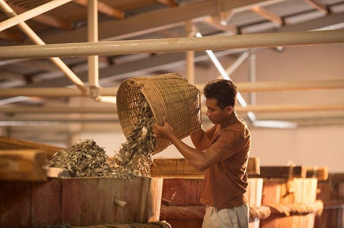 Nghề làm nước mắm Phú Quốc, Kiên Giang được công nhận là di sản văn hóa phi vật thể quốc gia