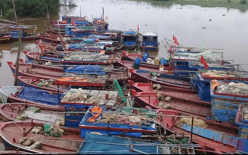 Bắn pháo hiệu hướng dẫn tàu thuyền vào trú nơi an toàn tránh bão số 1