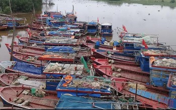 Bắn pháo hiệu hướng dẫn tàu thuyền vào trú nơi an toàn tránh bão số 1