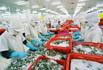 Xuất khẩu thủy sản sang Trung Quốc tăng mạnh