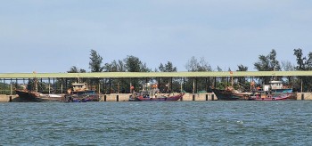Bình Định hỗ trợ hơn 73 tỷ đồng cho tàu đánh bắt cá xa bờ vươn khơi bám biển Bình Định hỗ trợ hơn 73 tỷ đồng cho tàu đánh bắt cá xa bờ vươn khơi bám biển