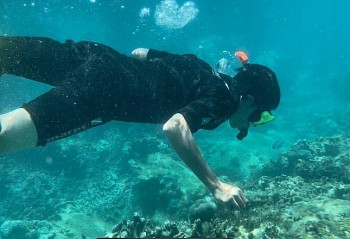 Khánh Hòa tìm giải pháp để cứu san hô và hệ sinh thái vịnh Nha Trang