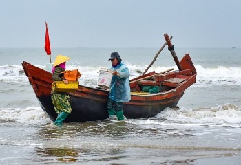 Thanh Hóa có tỷ lệ tàu cá lắp đặt thiết bị giám sát hành trình cao của cả nước