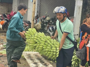 Khó khăn trong việc xuất khẩu chuối sang Trung Quốc