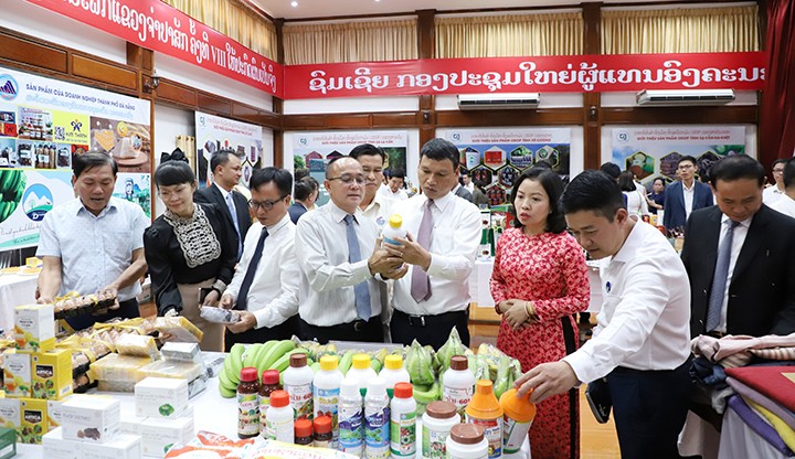 Đà Nẵng tăng cường hợp tác xúc tiến đầu tư với 5 tỉnh Nam Trung Lào