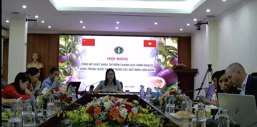 Chanh leo Việt Nam chính thức xuất khẩu sang Trung Quốc