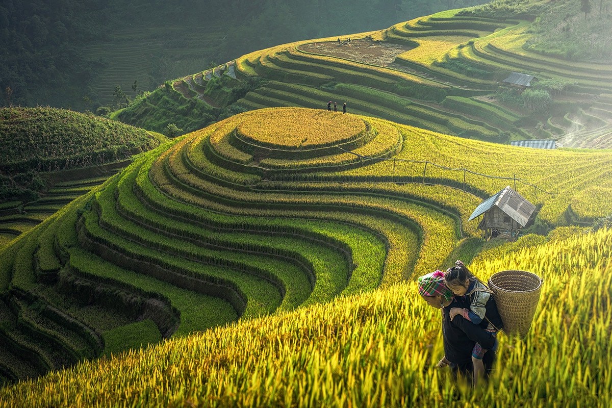 Say đắm trước thiên nhiên Sa Pa - niềm tự hào của núi rừng Tây Bắc Say đắm trước thiên nhiên Sa Pa - niềm tự hào của núi rừng Tây Bắc
