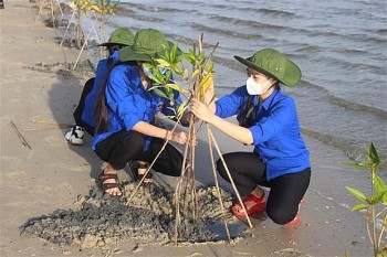 Việt Nam tăng hợp tác quốc tế thực hiện các cam kết khí hậu tại COP26