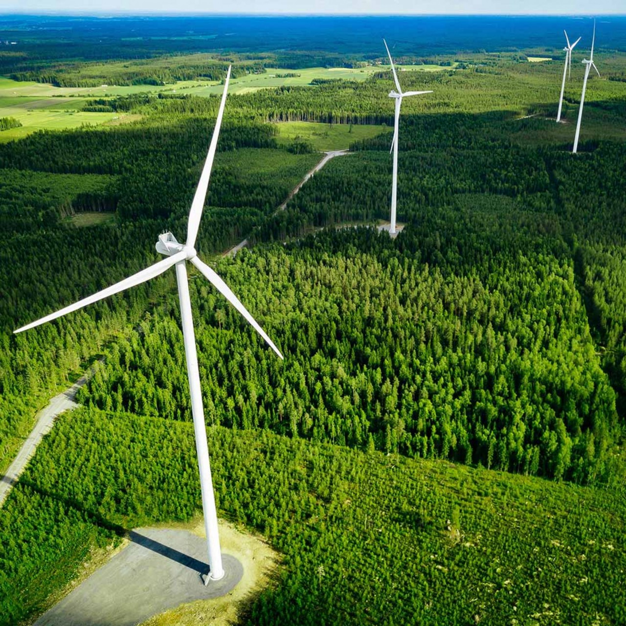 Phần Lan chú trọng bảo vệ rừng và sử dụng năng lượng tái tạo  (Ảnh: world atlas)