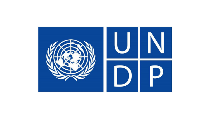 Chuyên gia UNDP: Phụ nữ và trẻ em gái đóng vai trò quan trọng trong chuyển đổi số