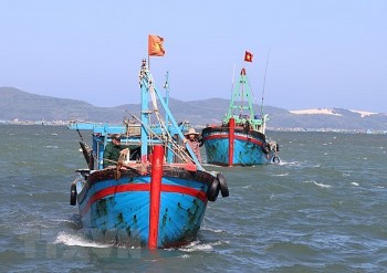 Kiên Giang: Chung tay tháo gỡ 