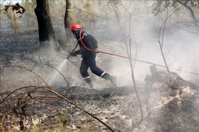 Nhân viên cứu hỏa nỗ lực khống chế các đám cháy rừng tại Louchats, miền tây nước Pháp, ngày 19/7/2022. Ảnh: AFP/TTXVN
