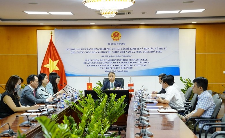 Kỳ họp lần II Ủy ban liên Chính phủ (UBLCP) về các vấn đề kinh tế và hợp tác kỹ thuật Việt Nam - Peru được tổ chức theo hình thức trực tuyến