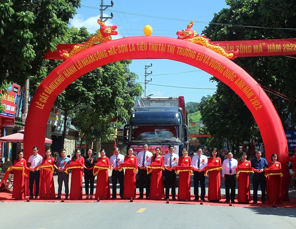 Nhãn Sông Mã, Sơn La chính thức xuất khẩu sang EU, Anh