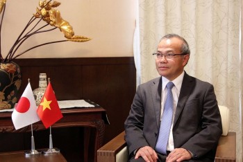 Đại sứ Vũ Hồng Nam: Quan hệ Việt Nam - Nhật Bản như khóm hoa muôn sắc rực rỡ, tràn đầy sức sống