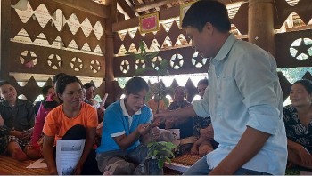 Helvetas Việt Nam tập huấn kỹ thuật canh tác cây trồng cho đồng bào dân tộc thiểu số