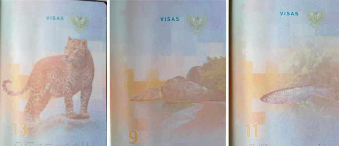 Hình ảnh động vật hoang dã trên hộ chiếu 