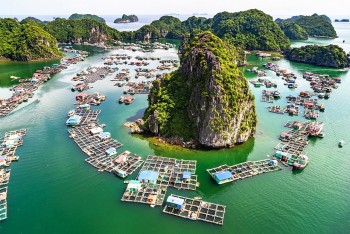 Trang du lịch Thrillist đánh giá Vịnh Lan Hạ là điểm đến đẹp nhất Việt Nam