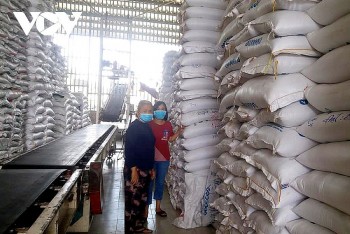 Để hạt gạo Việt Nam chinh phục thị trường Vương quốc Anh