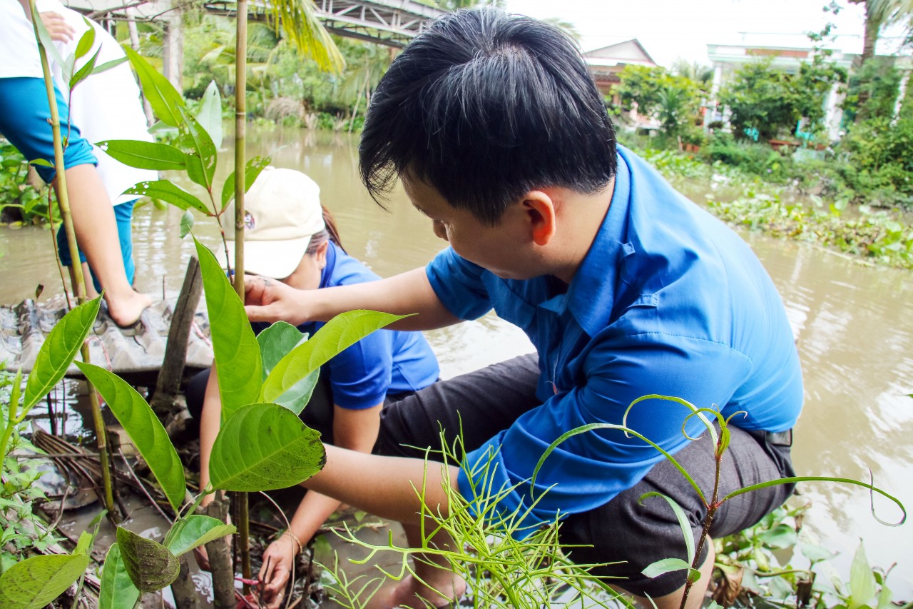 Liên hiệp các tổ chức hữu nghị Cần Thơ: Phối hợp trồng 1.000 cây bần chống sạt lở