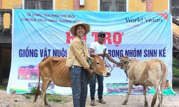 World Vision Việt Nam hỗ trợ sinh kế cho 236 hộ gia đình tại Quảng Trị