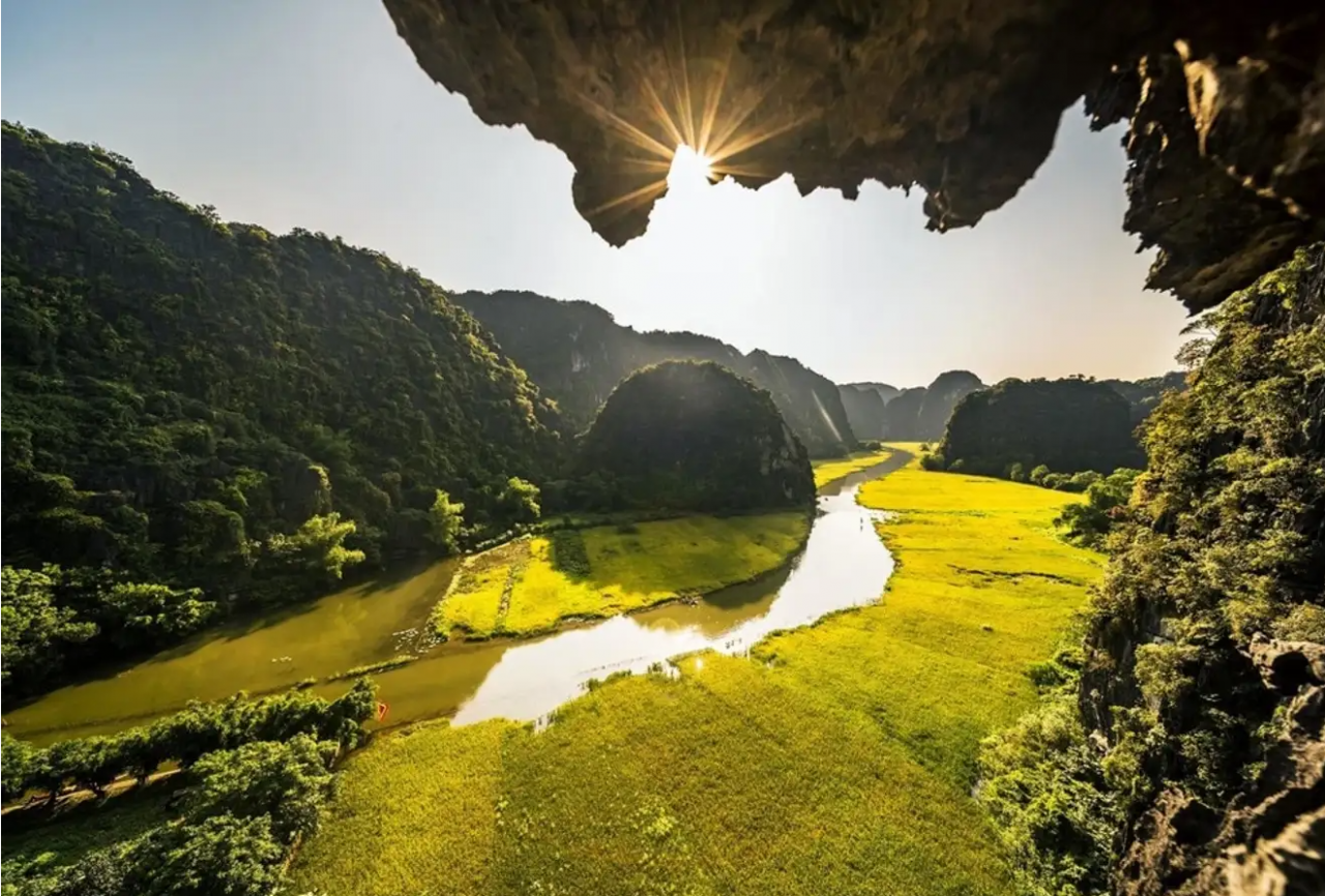 Tam Cốc Ninh Bình mùa lúa chín