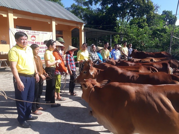 Tặng bò cho hộ nghèo huyện miền núi Nghệ An