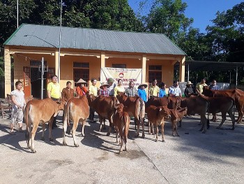 Tặng bò cho hộ nghèo huyện miền núi Nghệ An