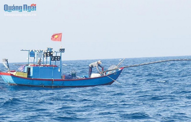 Câu trên biển đêm