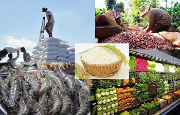 Cơ hội cho nông sản Việt Nam sang các nước Châu Âu