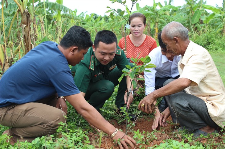 Cán bộ khóm Duy Tân, thị trấn Lao Bảo và cán bộ Đồn Biên phòng cửa khẩu quốc tế Lao Bảo hướng dẫn người dân bản Phường kỹ thuật trồng cây ăn quả (Ảnh: Thành Phú).