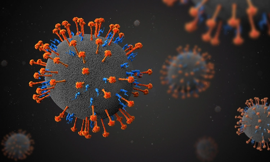 Trung Quốc phát hiện virus Langya henipavirus có thể gây chết người