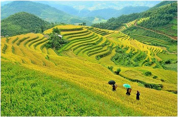 Thiên đường ruộng bậc thang ở Mù Cang Chải