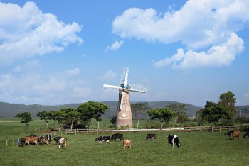 Cụm trang trại bò sữa Vinamilk Đà Lạt được vinh danh tại Giải thưởng Môi trường Việt Nam