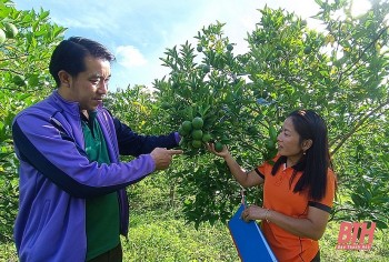 tang cuong hop tac ve kinh te gop phan nang tam moi quan he huu nghi thanh hoa hua phan