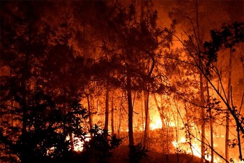 Lãnh đạo Việt Nam gửi điện thăm hỏi cháy rừng tại Pháp