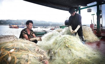 Xăng dầu giảm giá, ngư dân Hải Phòng tăng cường vươn khơi bám biển