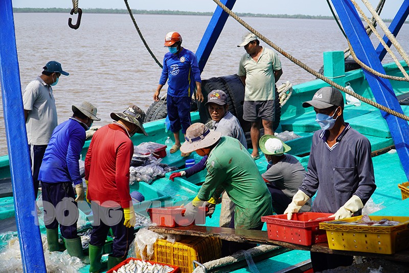 Bến Tre ngăn chặn tàu cá khai thác thủy sản trái phép ở vùng biển nước ngoài