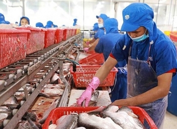 Mexico là quốc gia nhập khẩu cá tra lớn thứ 3 của Việt Nam