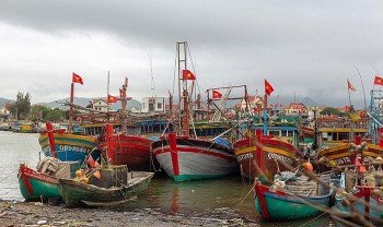 216 tàu cá tại Quảng Nam bị xử phạt hơn 1,8 tỷ đồng vì vi phạm về khai thác IUU