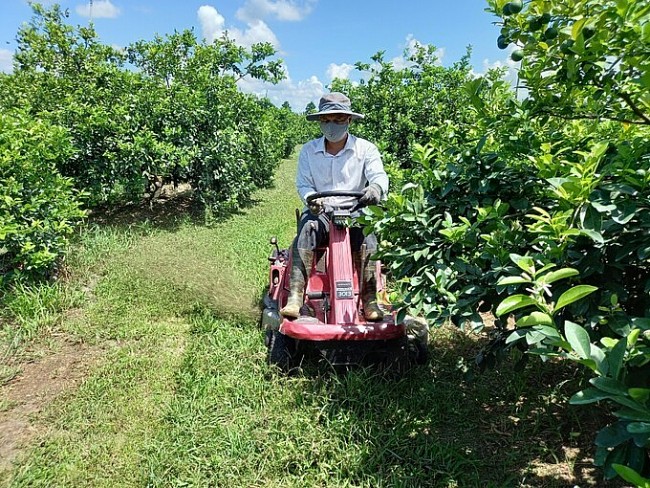 Đẩy mạnh cơ giới hóa trong sản xuất trái cây tại Tiền Giang