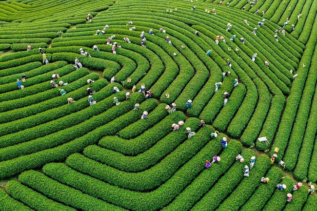 Lào Cai: Trưng bày gần 200 bức ảnh nghệ thuật tại triển lãm "Trung du, miền núi phía Bắc - Tiềm năng và cơ hội"
