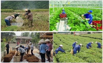 hon 57 nghin lao dong nong thon tai quang nam duoc ho tro dao tao nghe