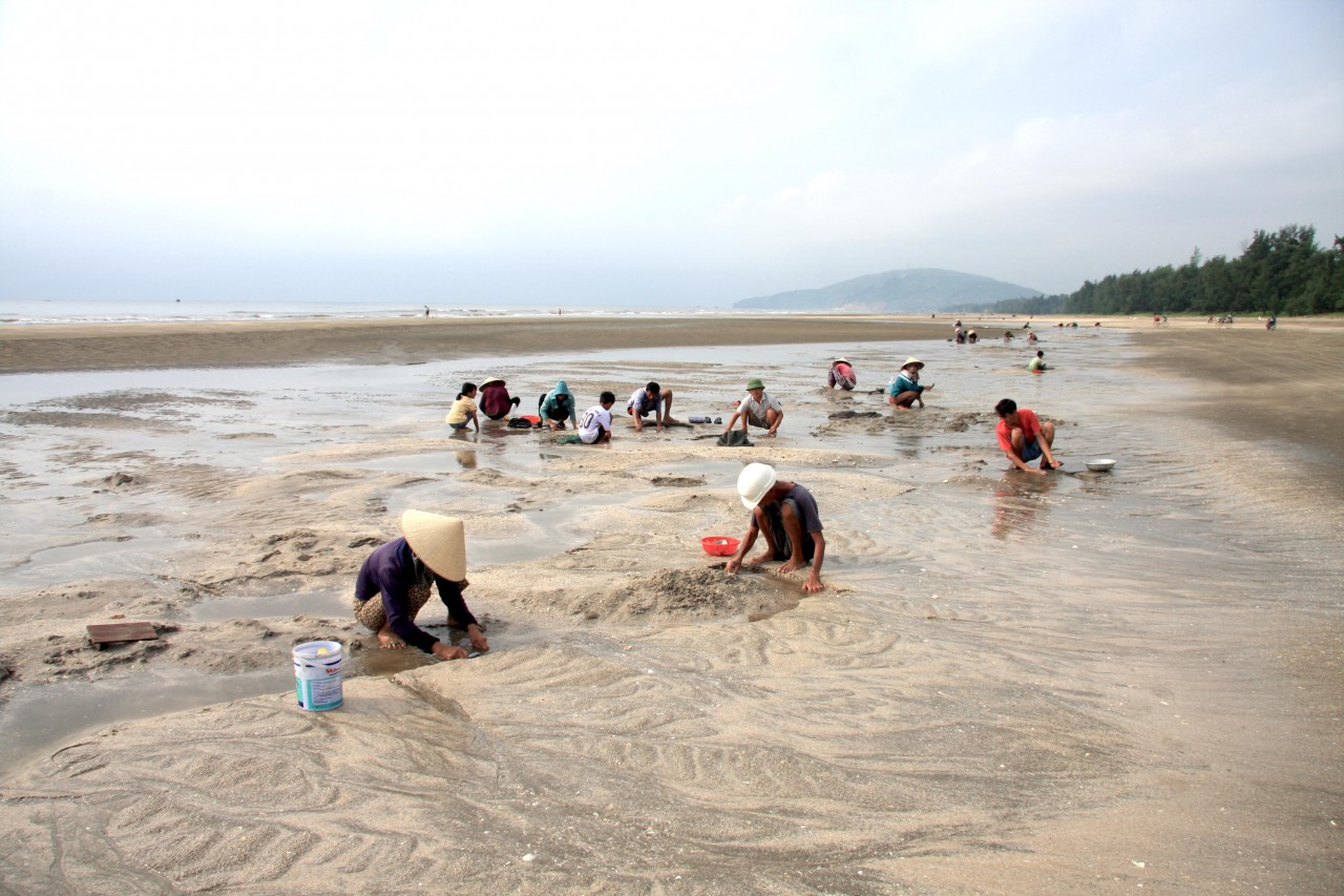 Dung dị vẻ đẹp mưu sinh trên biển Quỳnh