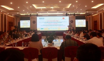 KOICA Việt Nam khởi động dự án hơn 347 tỷ đồng cho cộng đồng nông thôn tỉnh Quảng Bình