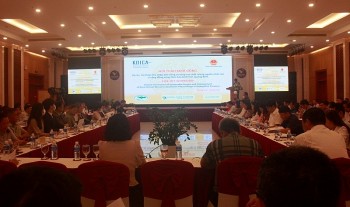 KOICA Việt Nam khởi động dự án hơn 347 tỷ đồng cho cộng đồng nông thôn tỉnh Quảng Bình KOICA Việt Nam khởi động dự án hơn 347 tỷ đồng cho cộng đồng nông thôn tỉnh Quảng Bình