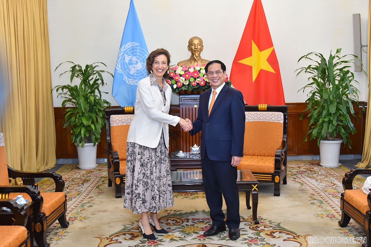UNESCO sẽ tiếp tục hỗ trợ Việt Nam trên nhiều lĩnh vực