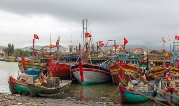 Quảng Bình chi trên 22,8 tỷ đồng hỗ trợ cho chủ tàu cá khai thác vùng biển xa Quảng Bình chi trên 22,8 tỷ đồng hỗ trợ cho chủ tàu cá khai thác vùng biển xa