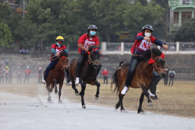 Giải đua ngựa truyền thống huyện Bắc Hà. Nguồn: Internet.
